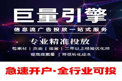 SEM代运营案例分析：精准投放策略解析